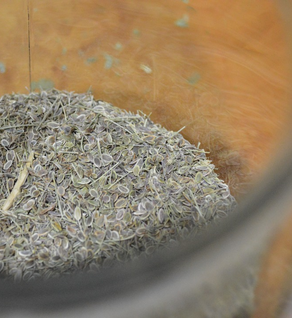 Culinary Herb Sampler