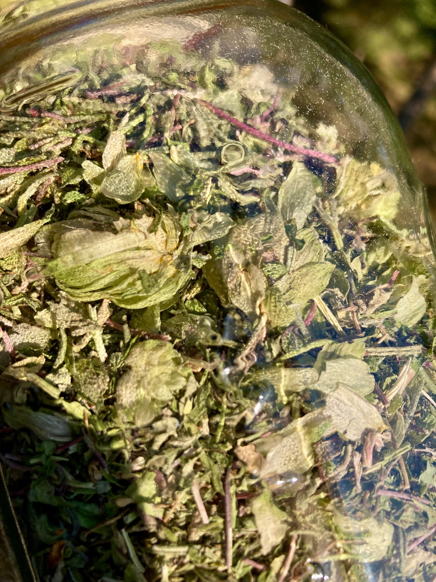 Mental Clarity Tea