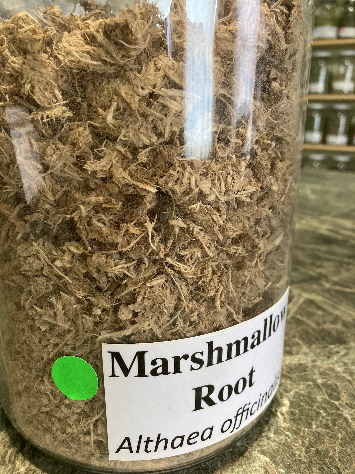 Marshmallow Root - Althaea officinalis