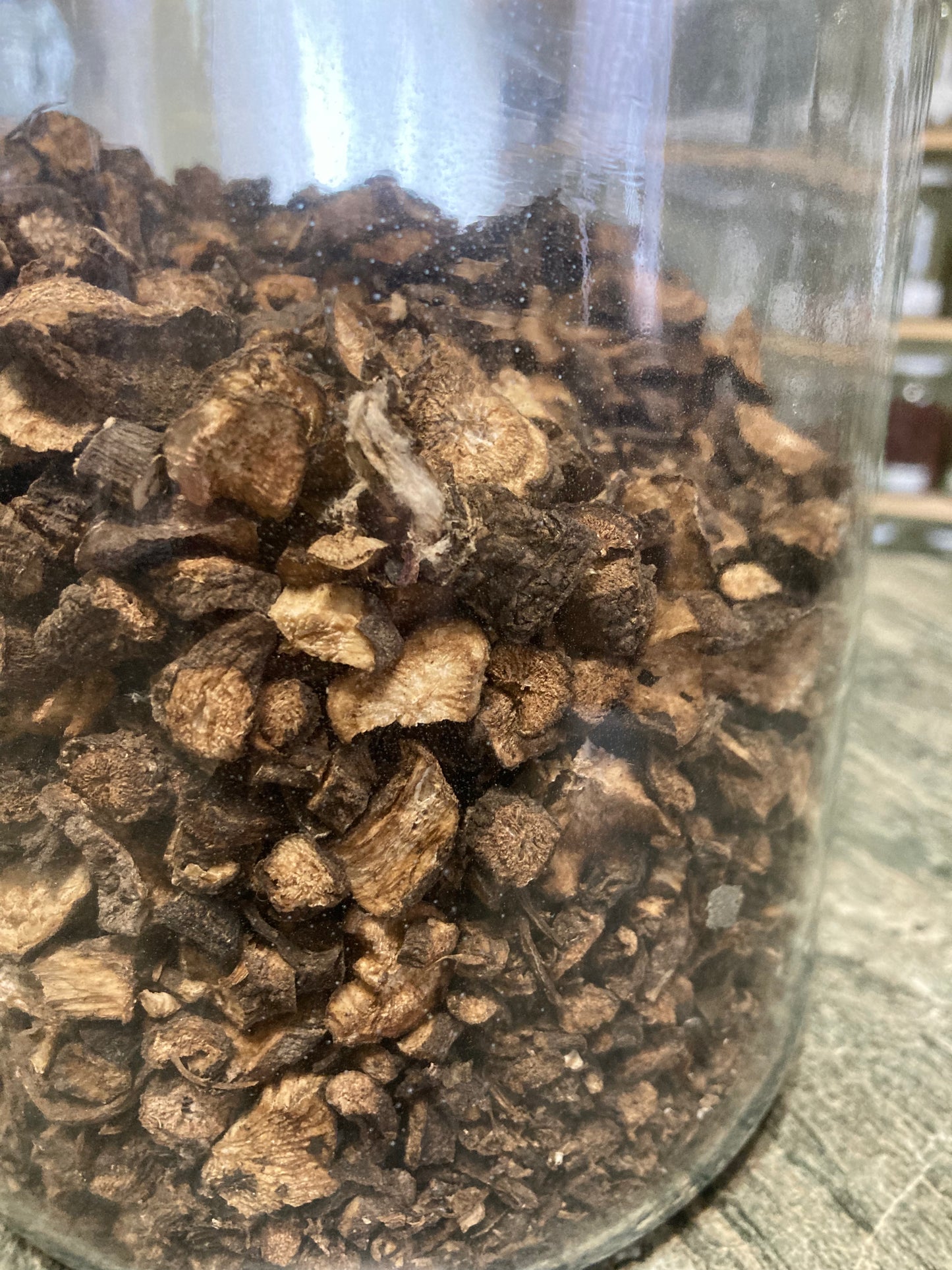 Burdock Root - Arctium lappa