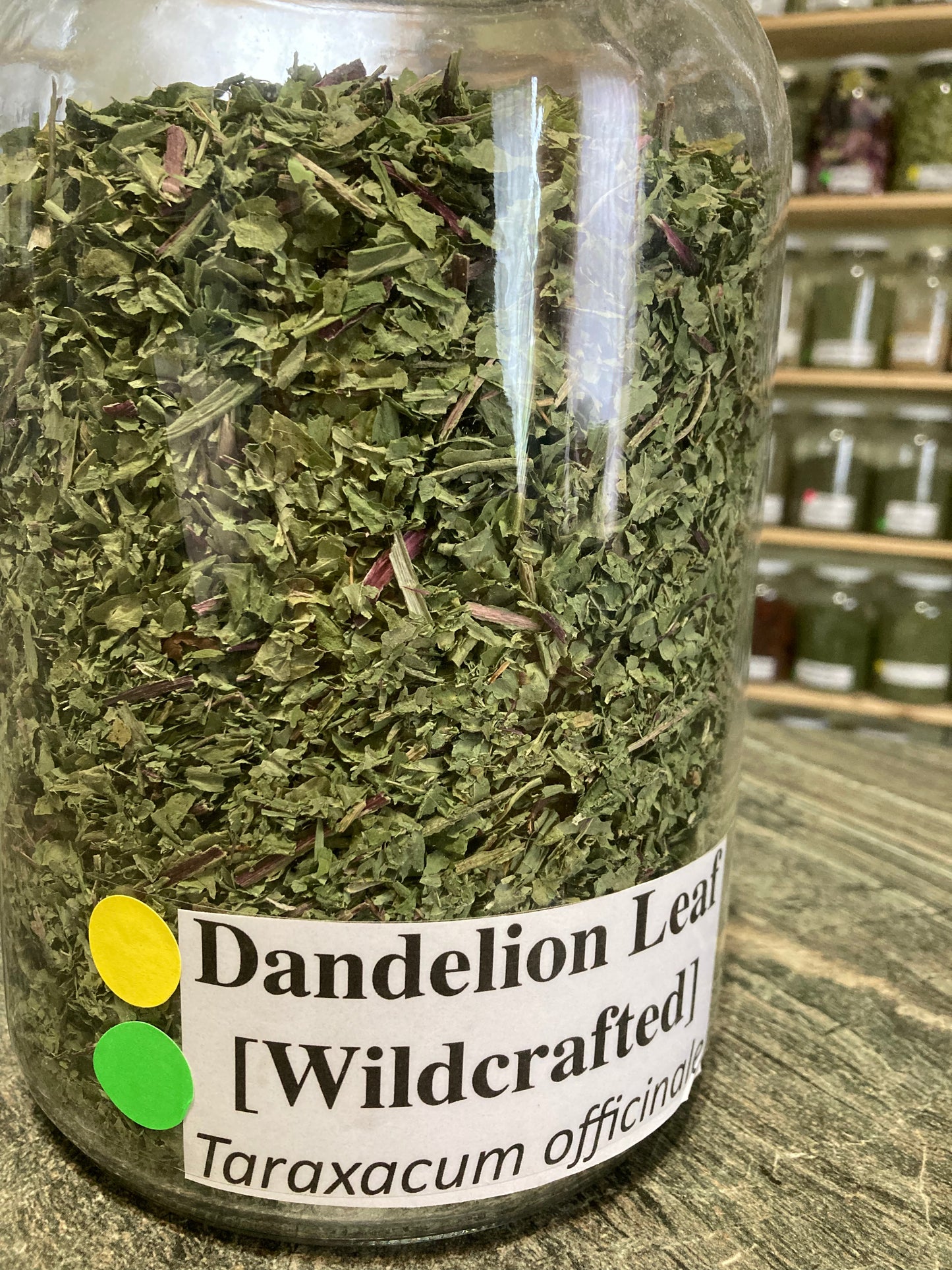 Dandelion Leaf - Taraxacum officinale