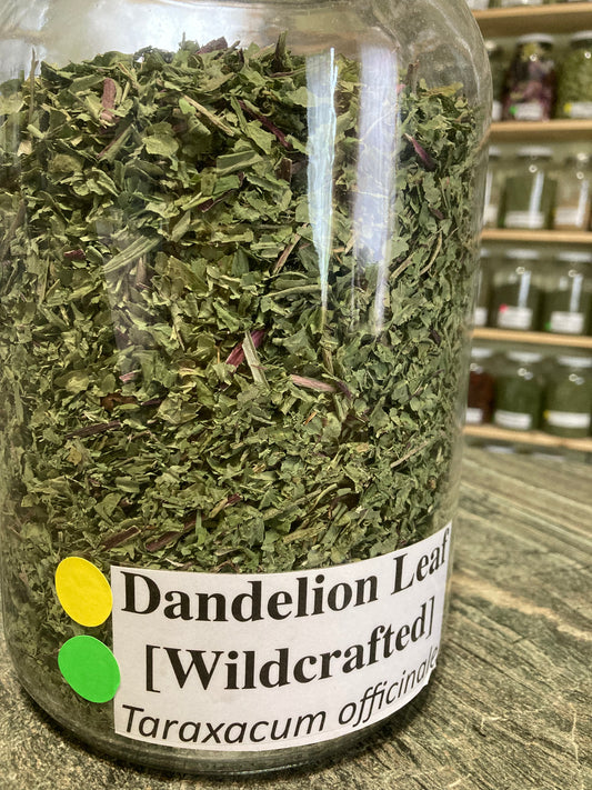 Dandelion Leaf - Taraxacum officinale