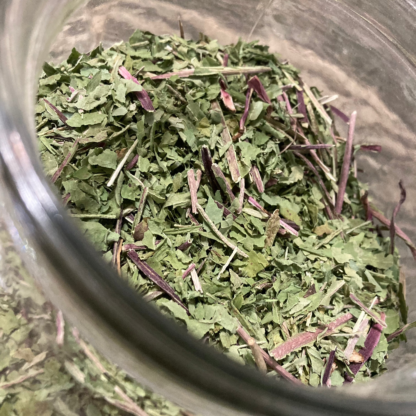 Dandelion Leaf - Taraxacum officinale