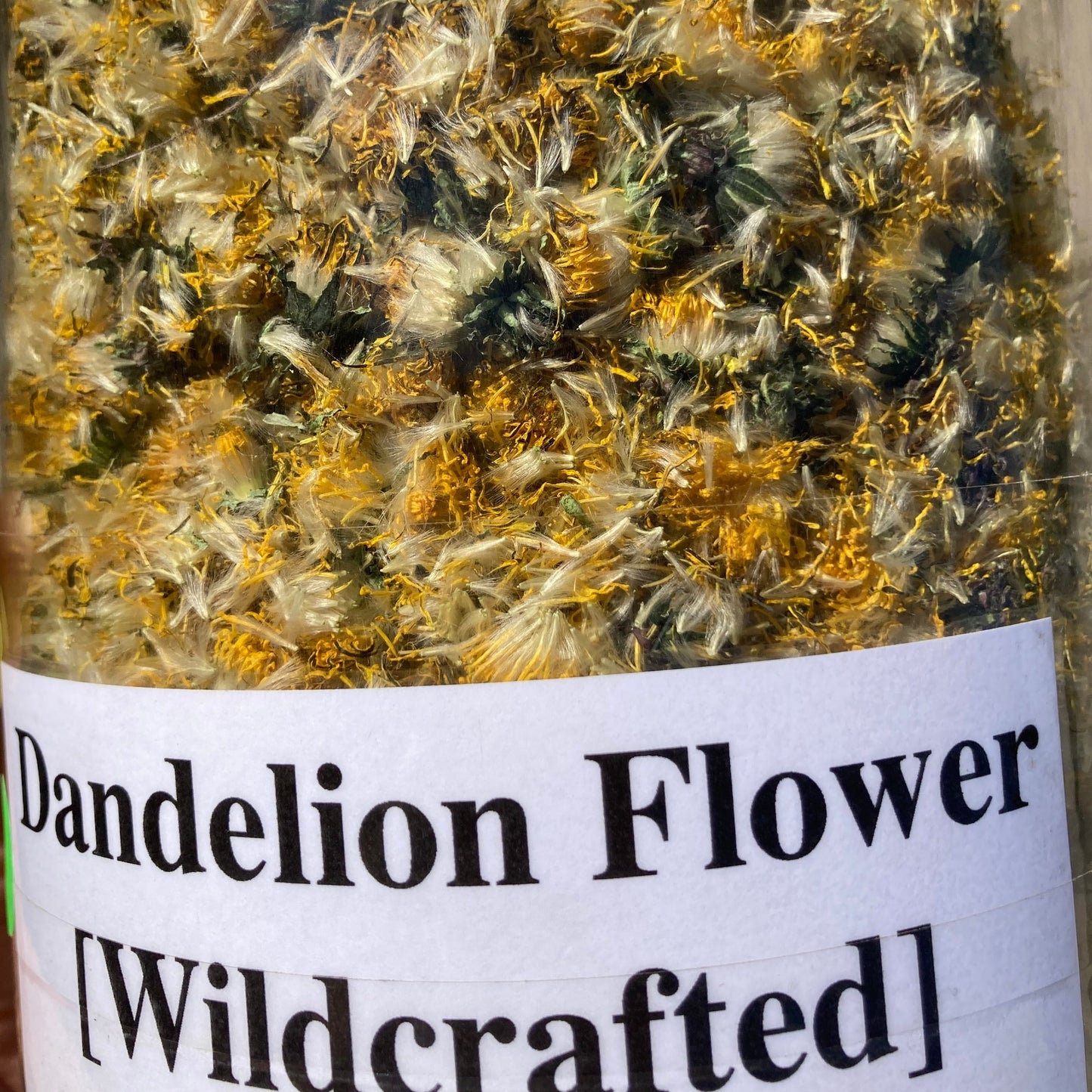 Dandelion Flower - Taraxacum officinale