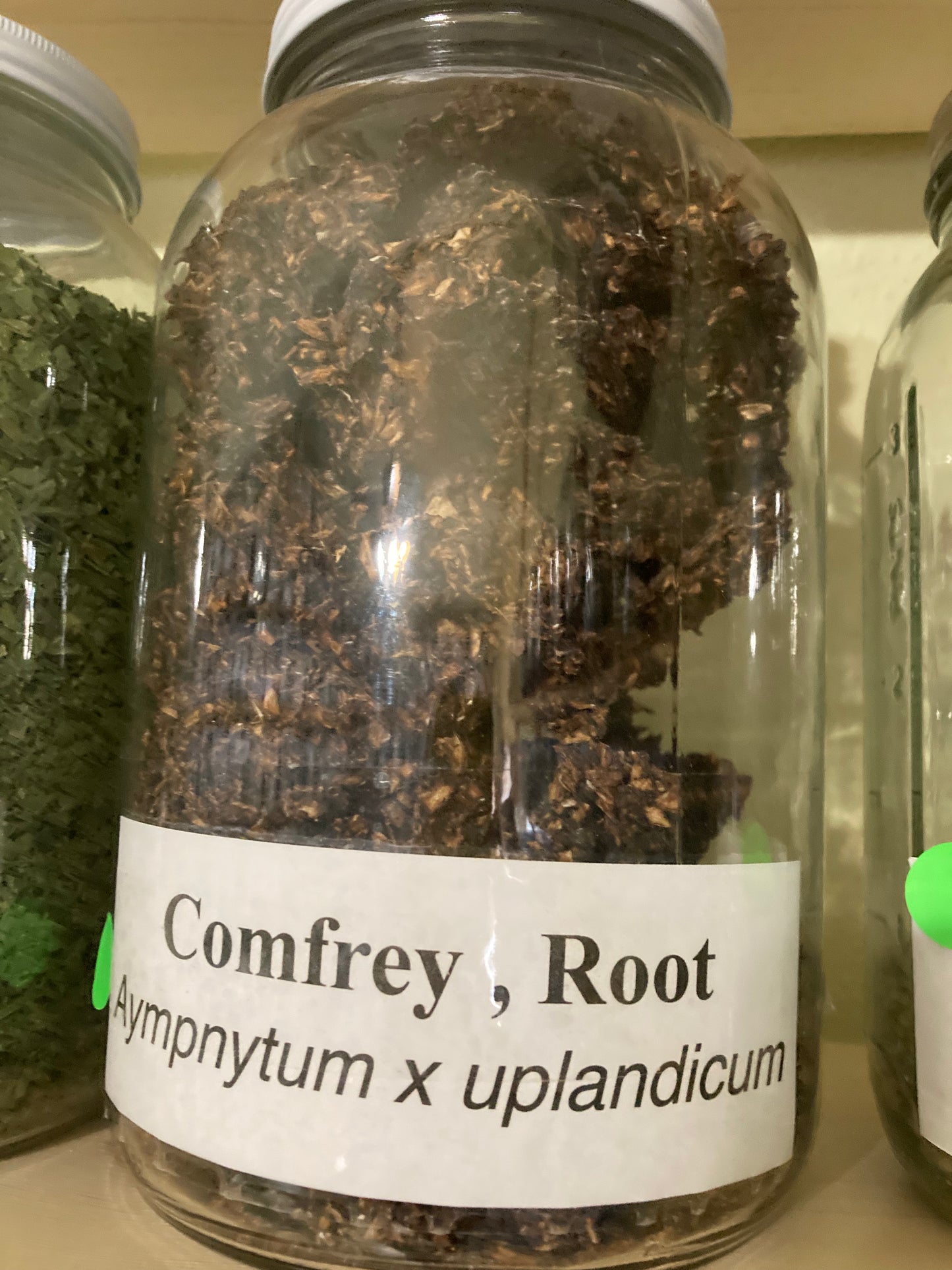 Comfrey Root - Symphytum officinale