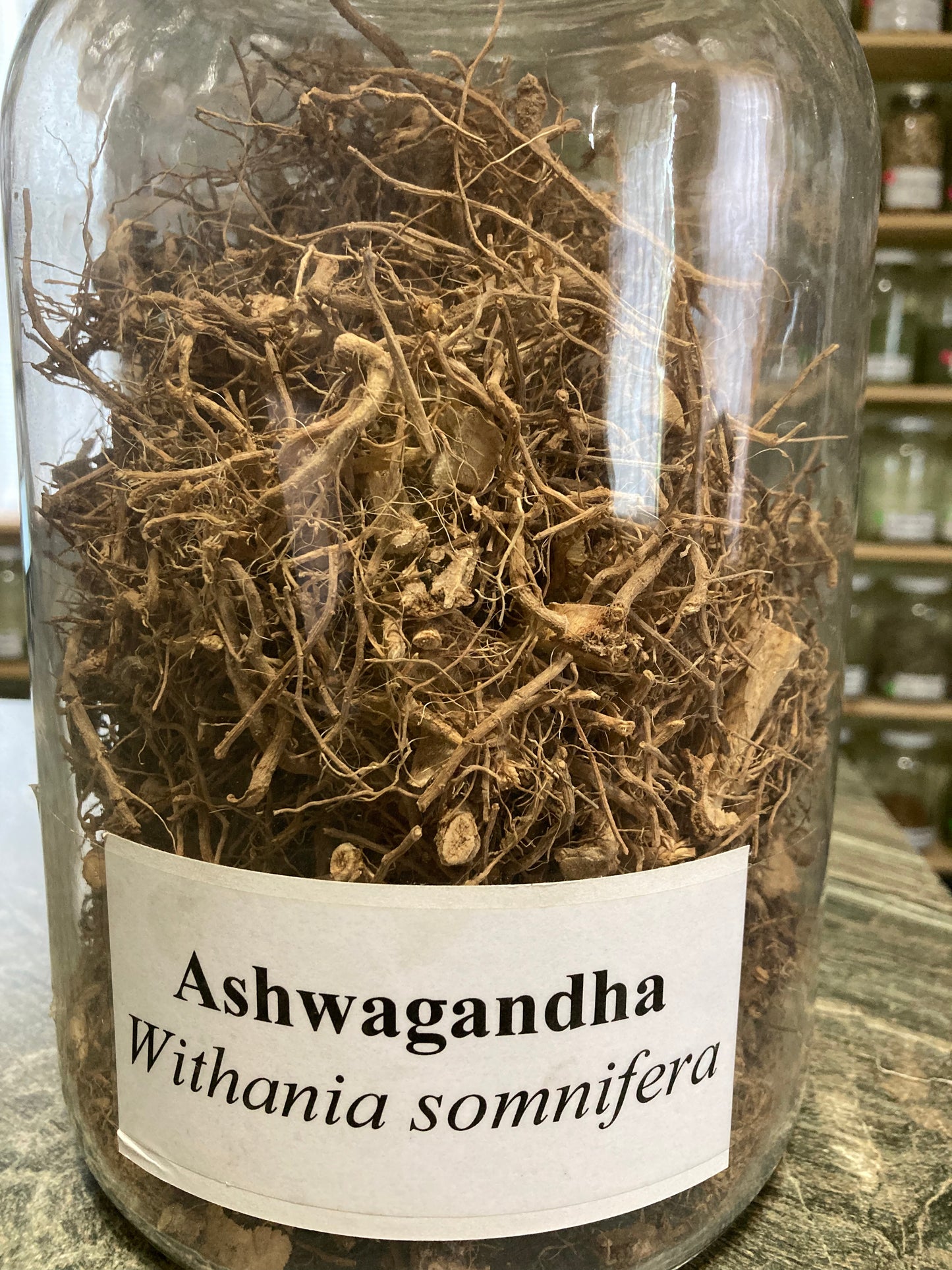 Ashwagandha Root - Withania somnifera