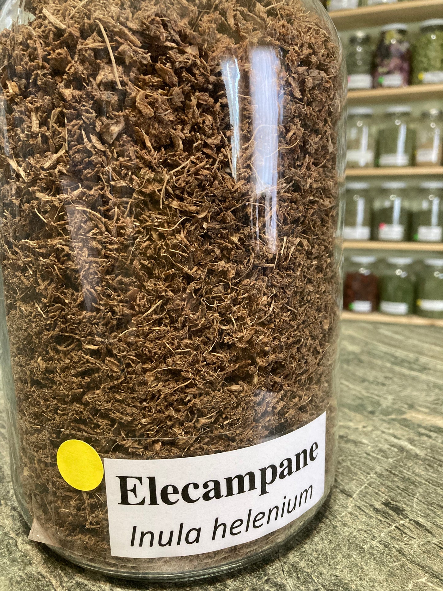 Elecampane Root - Inula helenium