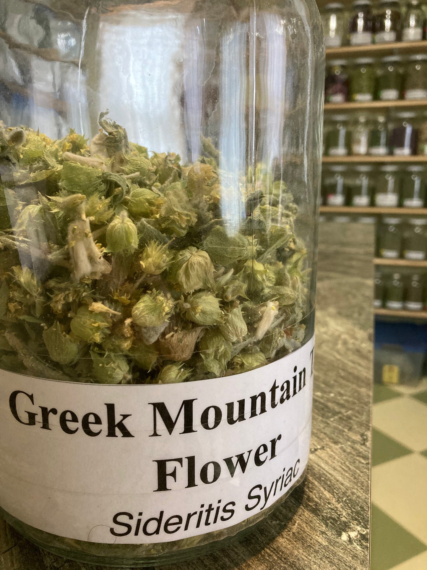 Greek Mountain Tea Flower - Sideritis