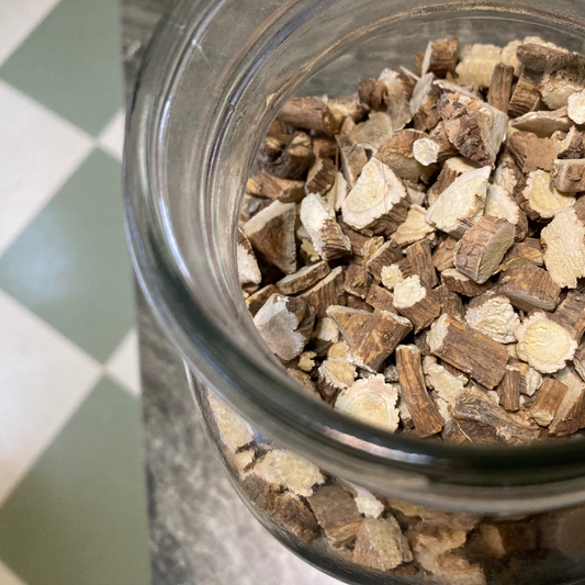 Horseradish Root - Armoracia rusticana