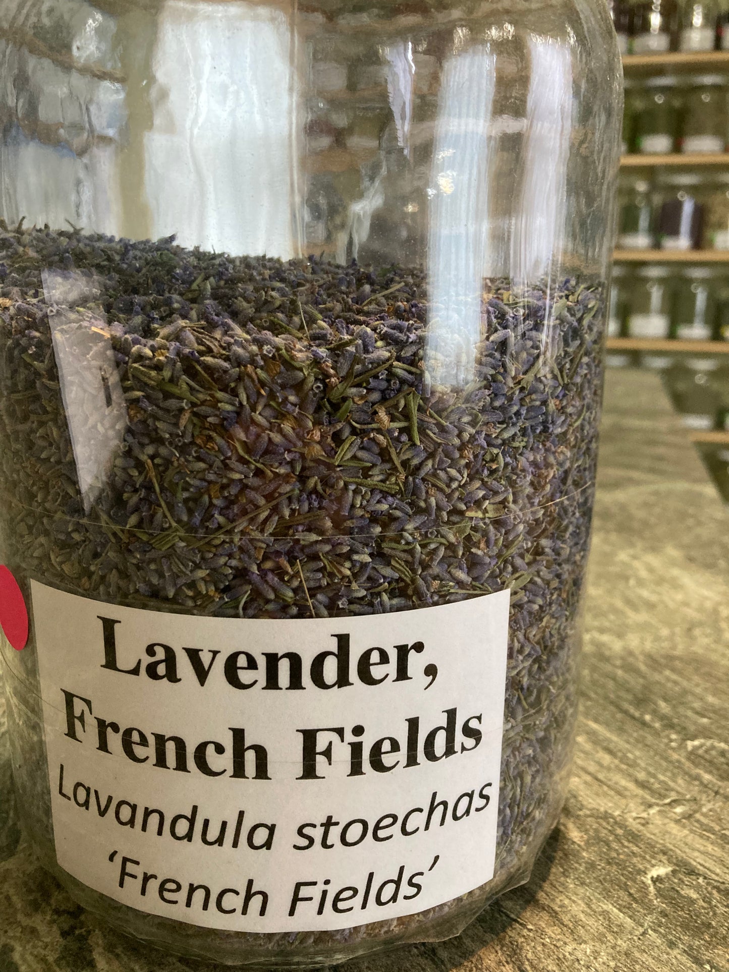 Lavender, French Fields - Lavandula angustifolia