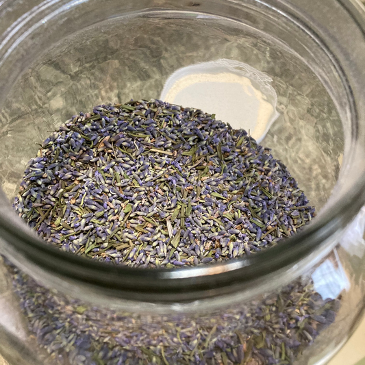 Lavender, French Fields - Lavandula angustifolia