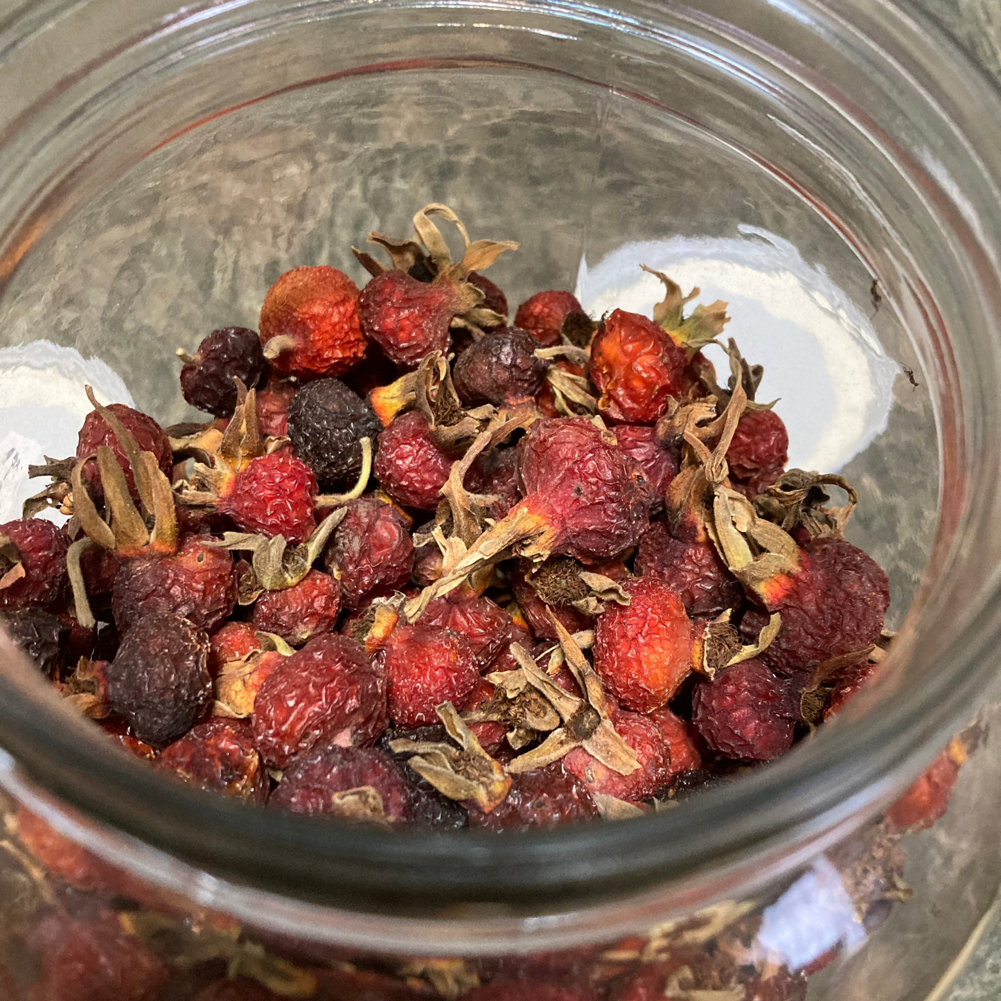 Rosehips - Rosa rugosa