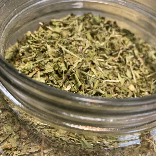 Tansy - Tanacetum vulgare